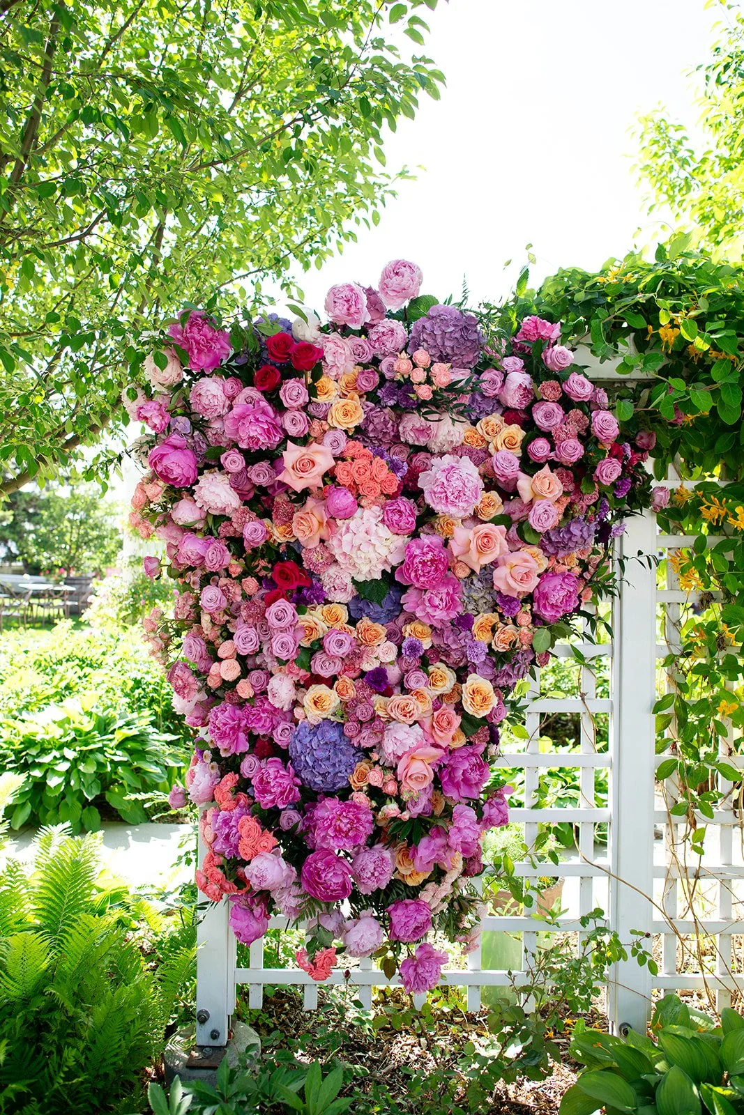 Rose and Croquet FAQ — Deane House